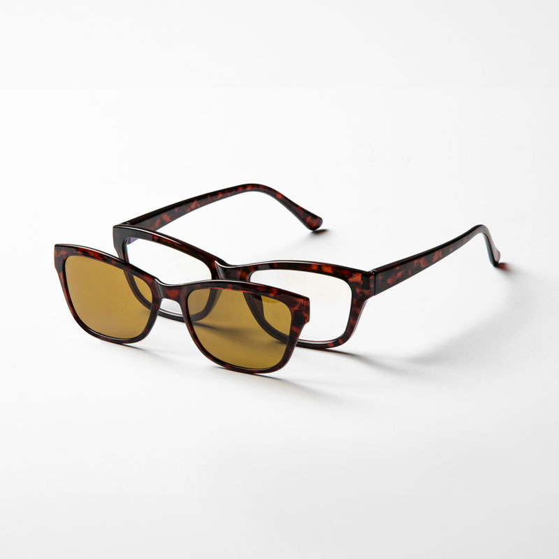 Eagle Eyes 2 IN 1 Rectangular Progressive Readers (Tortoise)